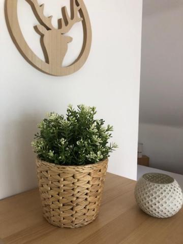 Fewo_ortszeit Apartment Haintchen